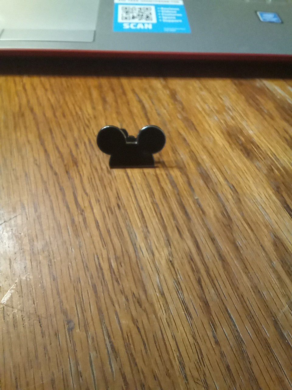 Traditional Disney Pin