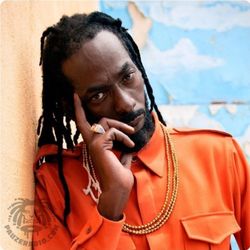 BUJU BANTON TICKETS SECTION 204