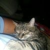Zoey