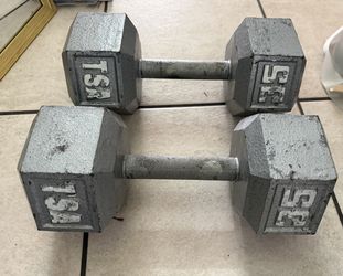 TSA CAST IRON 35LB WEIGHT SET
