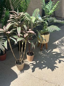 Variety of faux potted plants
