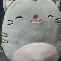 Squishmallows Green Cat