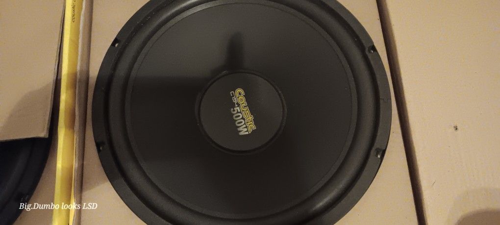15" Subwoofer