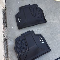 BMW back floor mats