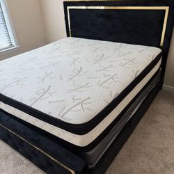 Bed Frame And Gently Used Mattress