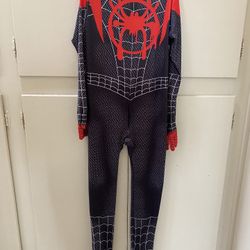 Spider-Man Custome