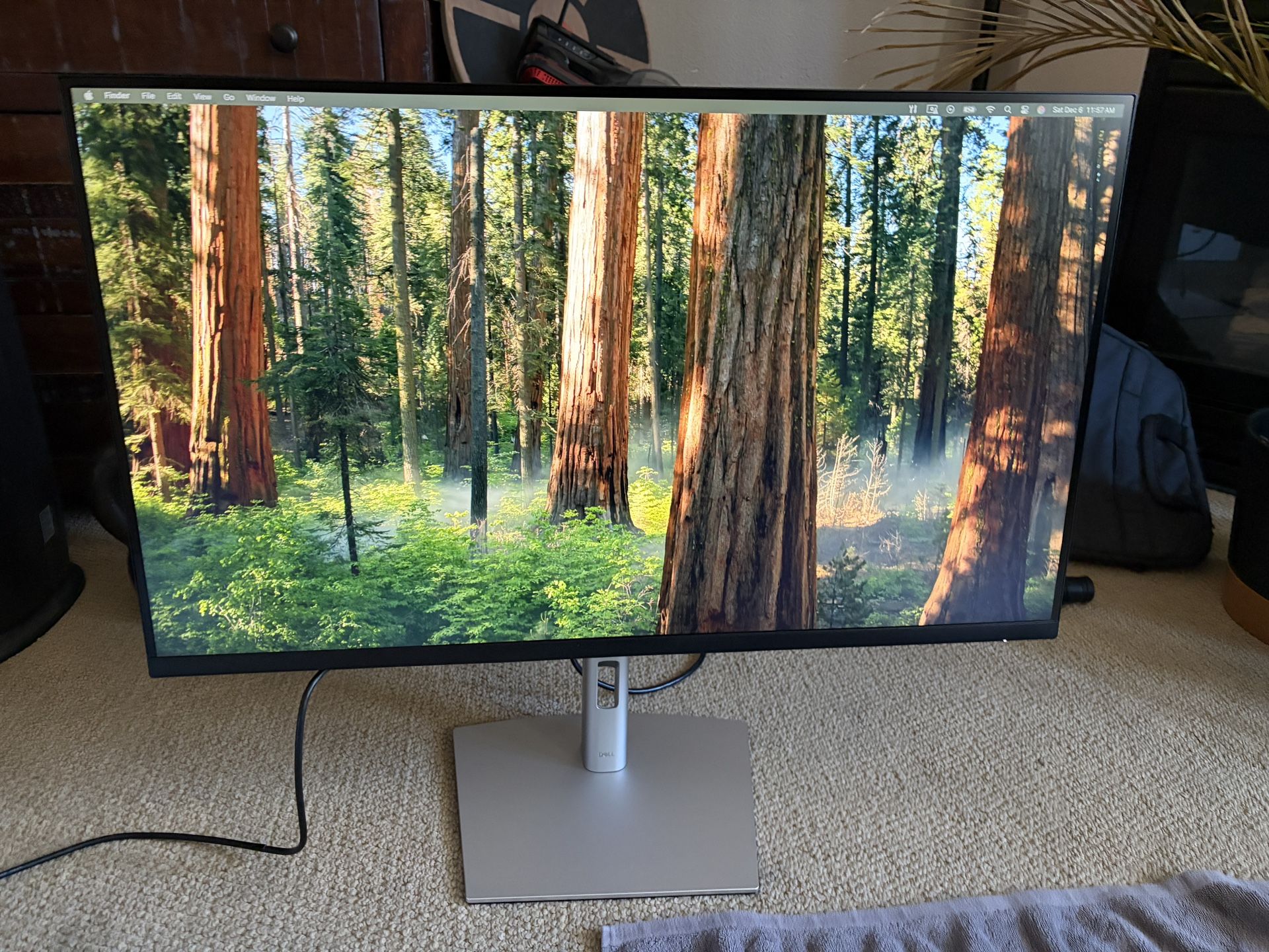 Dell P3223QE 31.5" 4K Monitor – $150 San Diego (92101)