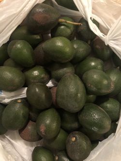 ORGANIC HOMEGROWN AVOCADOS AGUACATES 🥑 2for$3 or $1