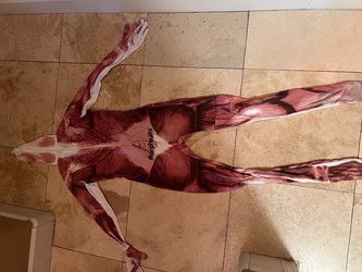 L Muscle Anatomy Full Body Halloween Costume