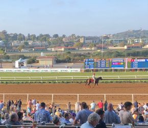 Opening Day at Del Mar Racetrack-Private box 4 seats
