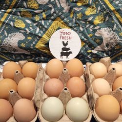 Free Range Eggs From Happy Chickens