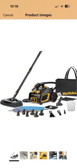 Professional steam cleaner