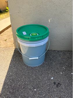 Gain original 5 gallon laundry detergent