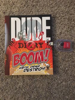 Dude Diary Boom book