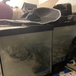 Fish Tank For Sell 