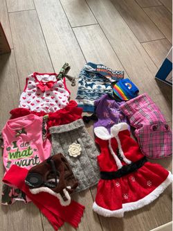 Assorted Small Dog Clothes/ Accessories