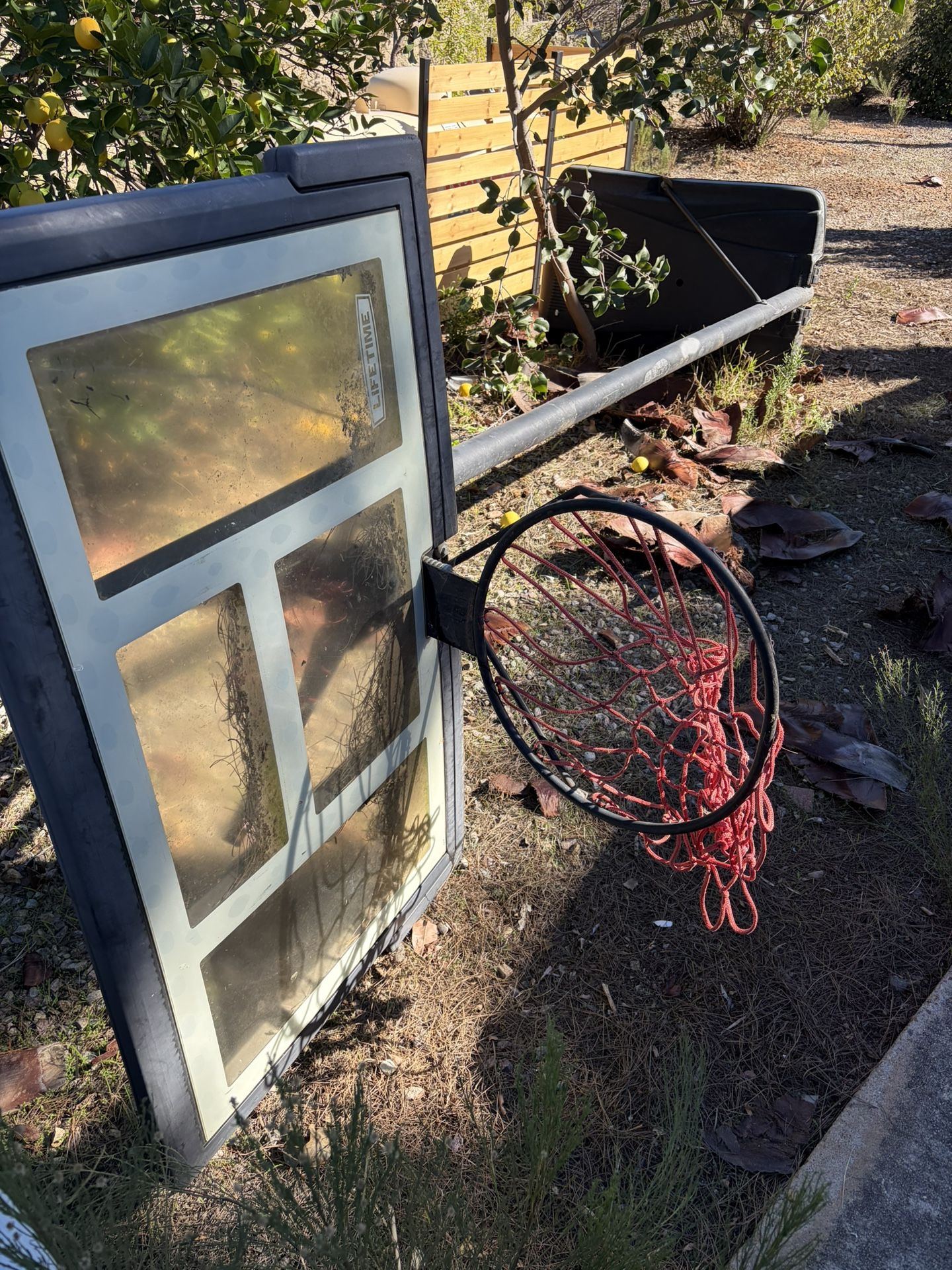 Basketball Hoop For Free