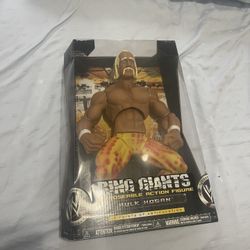 @@@ Original Package HULK HOGAN Collection @@@