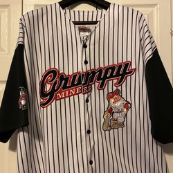 Original Disney Grumpy Jersey