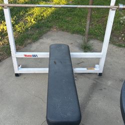 Weight Bench And Bar 