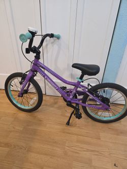 Guardian 16inch girls bike