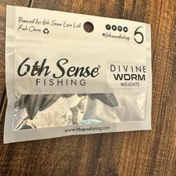 6th Sense - Divine Worm Weights