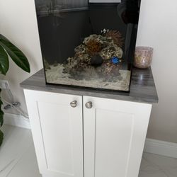 Saltwater Aquarium
