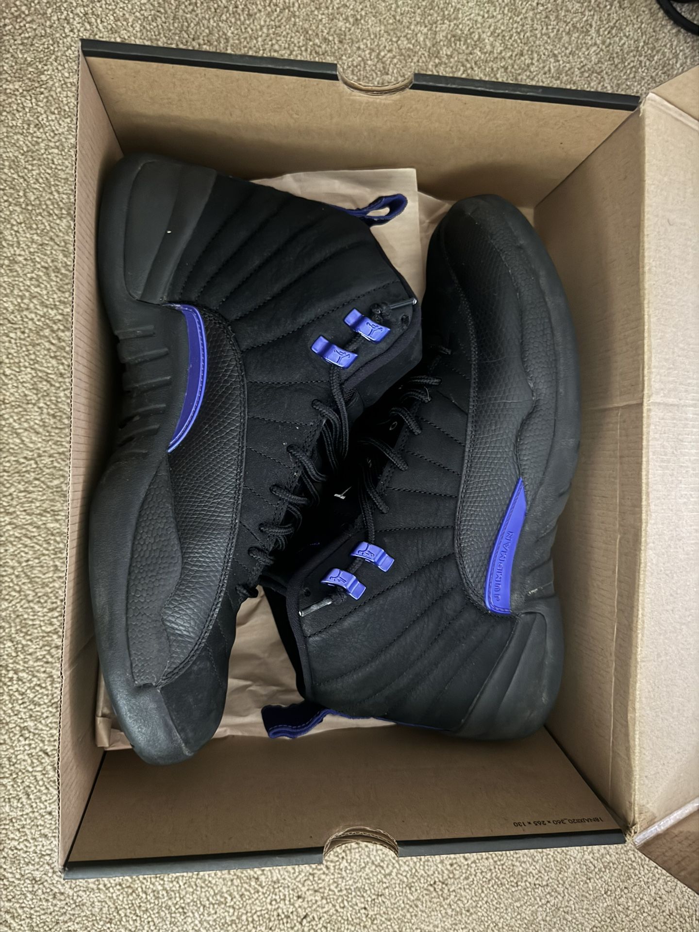 Jordan 12 Dark Concord