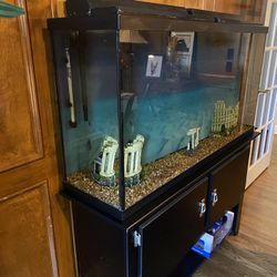 60 Gallon Fresh Water Fish Tank & Cabinet 