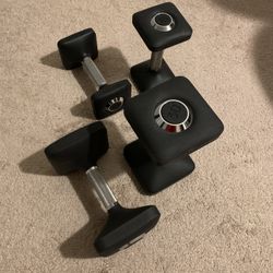 Peloton Dumbbells 
