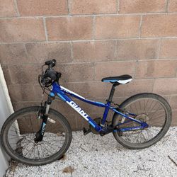 Giant Teen Bike Great Condition - Needs Peddle