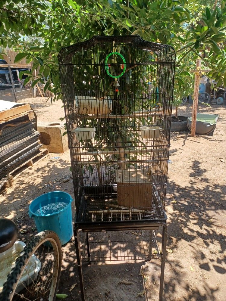 Bird Cage With Accessories