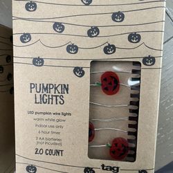 LED Pumpkin lights