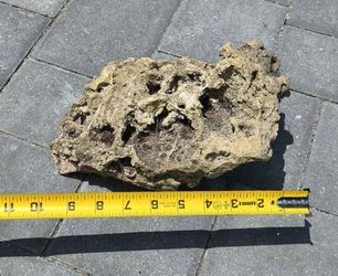 Large aquarium rock