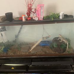 75 Gallon Tank And All Accessories 