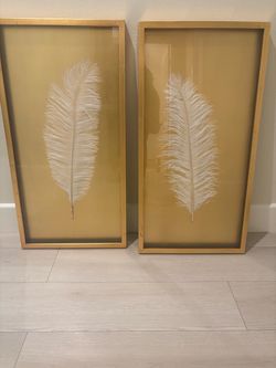 Framed Feather Wall Art Set of 2