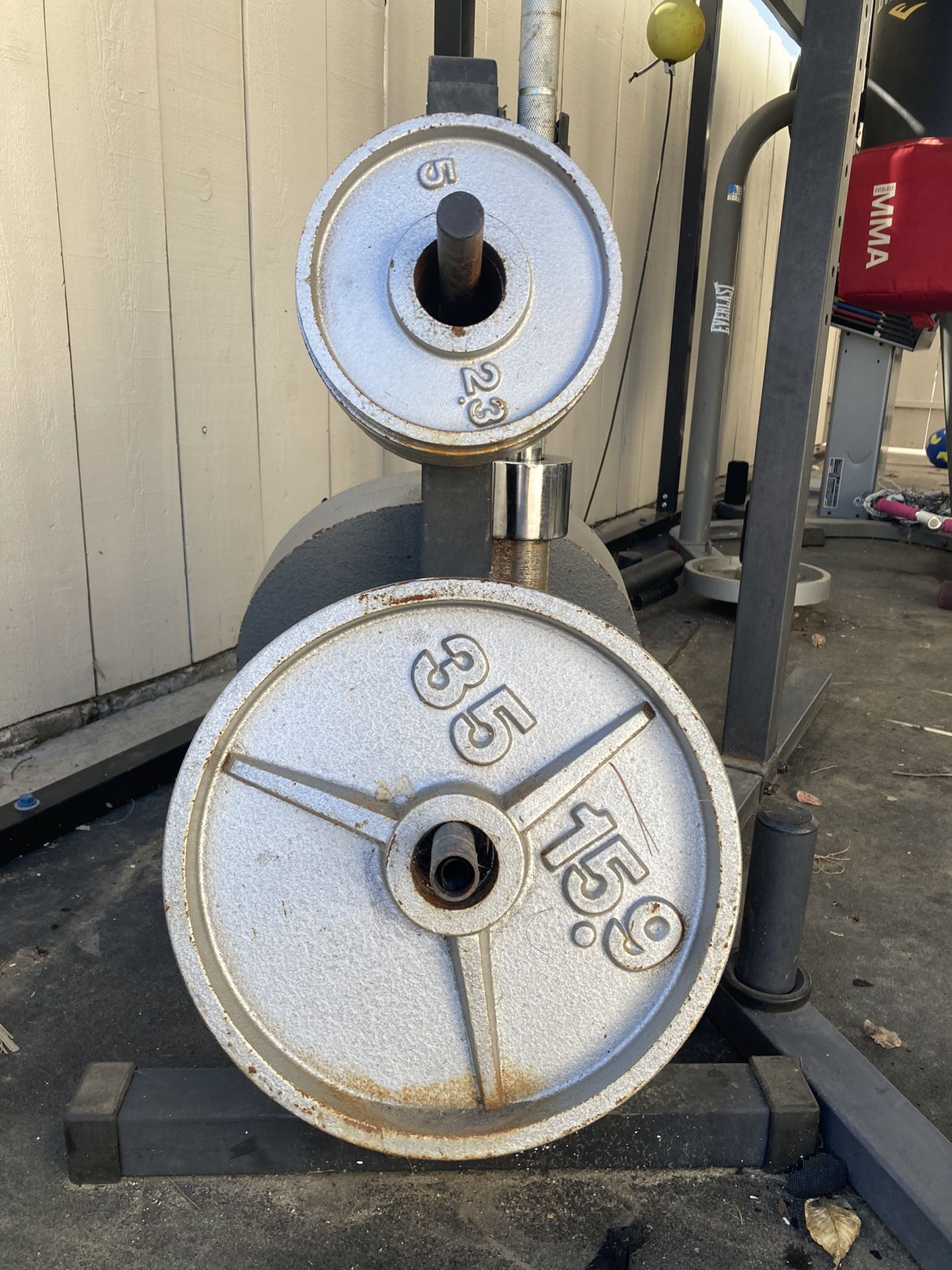 Olympic weights with stand