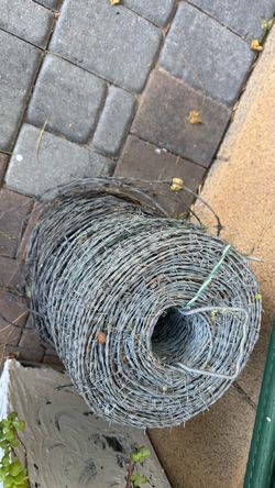 Galvanized Steel Barbed Wire