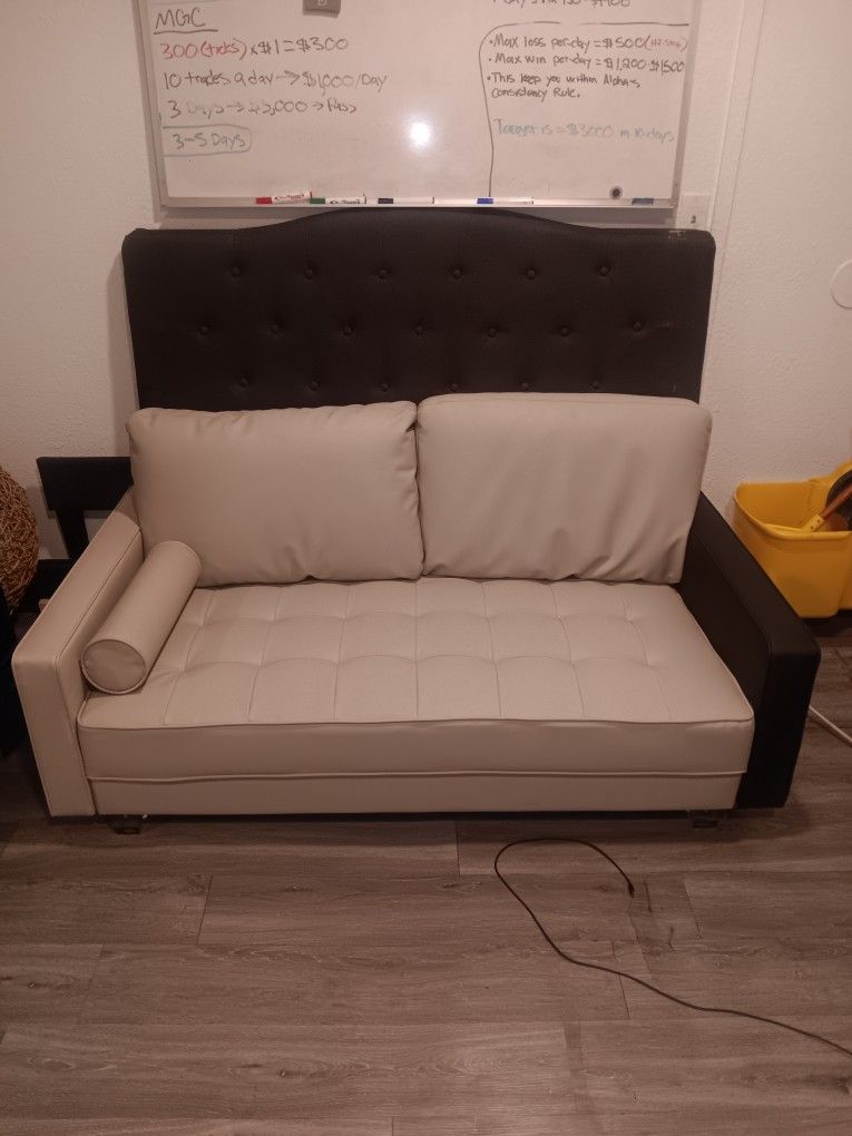 Loveseat Leather Couch