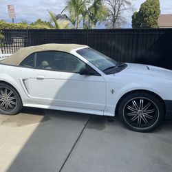 2000 Ford Mustang