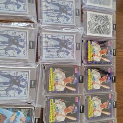 Project 2020 Baseball Cards 