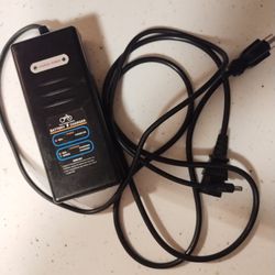 Raf Power eBike Charger OEM