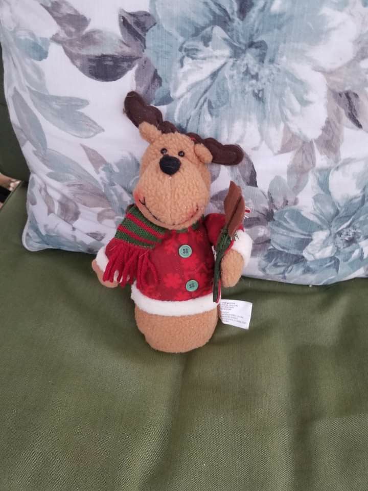 Holiday Reindeer