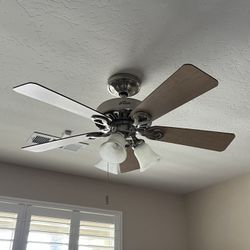 Ceiling fan