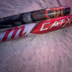 BaseBall Bats 