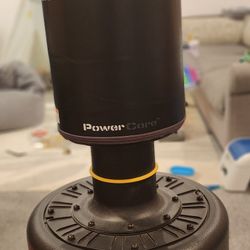 Everest Punching Bag 