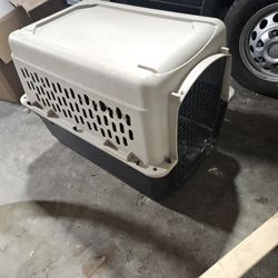 Dog Kennel