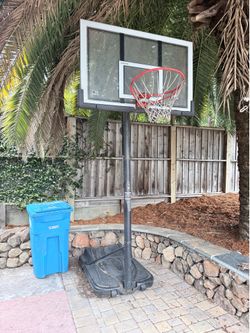 Free. Basketball goal
