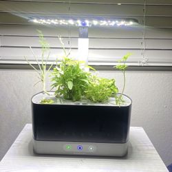 Hyrponic Indoor Herb - Aero Gardern Harvest XL
