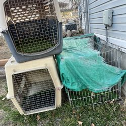 Dog Cages 
